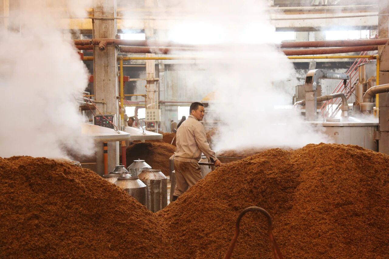 微信图片_20260127090243.jpg 微信图片_20260127090243.jpg